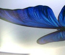 Натяжные потолки с фотопечатью - тип 2