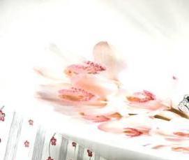 Натяжные потолки с рисунками орхидей - тип 4