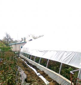 Нефтекамские теплицы - тип 1