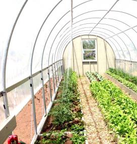 Нефтекамские теплицы - тип 4