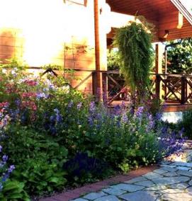 Неприхотливый газон - тип 1