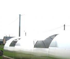 Новосибирские теплицы - тип 1