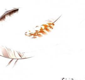 Обои флизелиновые: перья - модель 1