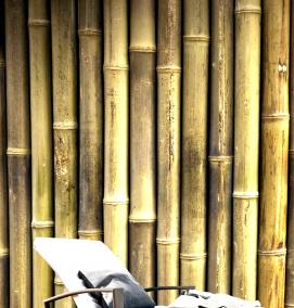 Обои виниловые: бамбук - тип 2
