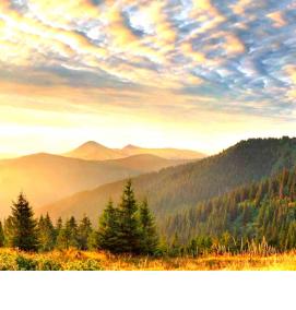 Обои виниловые: горы - тип 3