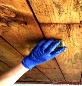 Обработка древесины от грибка и плесени - модель 1