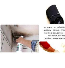 Обработка от плесени и грибка - вариант 1