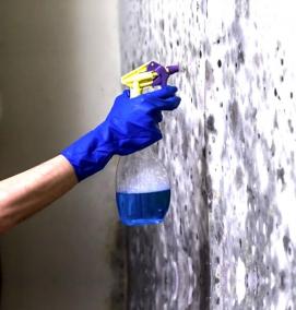 Обработка стен от грибка и плесени - тип 1