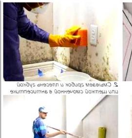 Обработка стен от грибка и плесени - тип 3