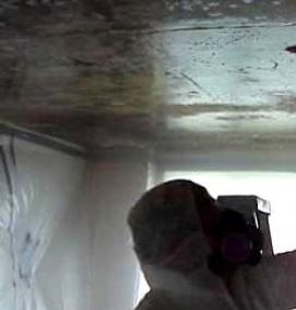 Обработка стен в ванной от плесени - модель 1