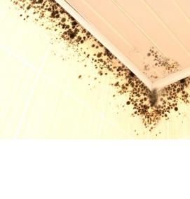 Обработка стен в ванной от плесени - модель 3