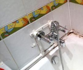 Обработка ванной от грибка и плесени - тип 1