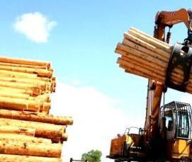 Оцилиндрованное бревно - модель 1