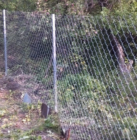 Оцинкованный забор Эконом