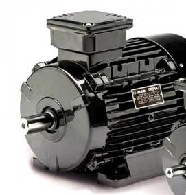 Однофазный синхронный двигатель - тип 4