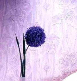 Однотонные цветные обои - вариант 1