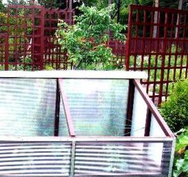 Огуречник парник - модель 4