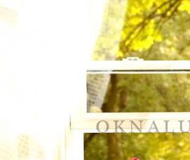 Окна пластиковые раздвижные вертикально - вариант 4