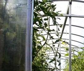 Омские теплицы - модель 4