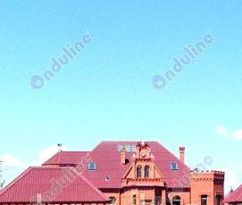 Ондулин оптом - тип 1