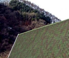 Ондулин зеленый - модель 3