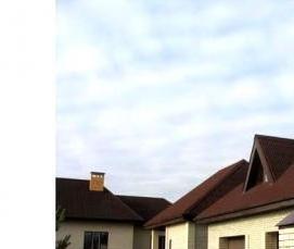 Ондулин железный - модель 4