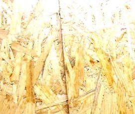 Осб плита 12 мм - вариант 2