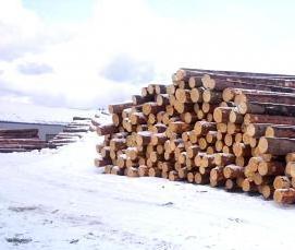 Осб плита лесоторговая - вариант 4