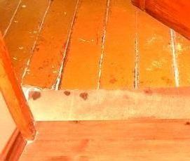 Осб под линолеум - вариант 2