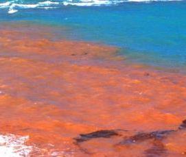 Отлив коричневый - тип 1