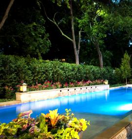 Озеленение бассейна - тип 4