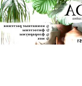 Озеленение библиотеки - вариант 1