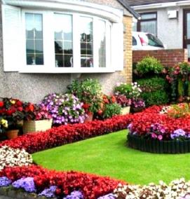 Озеленение цветников - тип 1