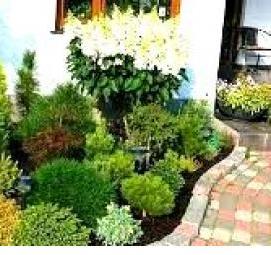 Озеленение декоративными растениями - модель 4