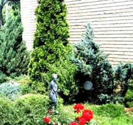 Озеленение декоративными растениями - модель 3