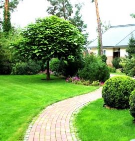 Озеленение дорожек - тип 1