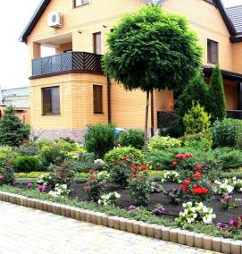 Озеленение двора - тип 3