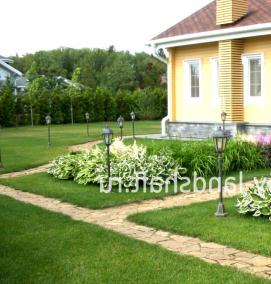 Озеленение - тип 1