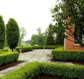 Озеленение изгородей - тип 4