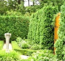 Озеленение изгородей - тип 2