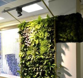 Озеленение комнаты - вариант 4