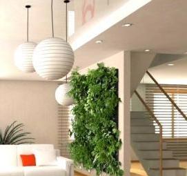 Озеленение комнаты - вариант 3