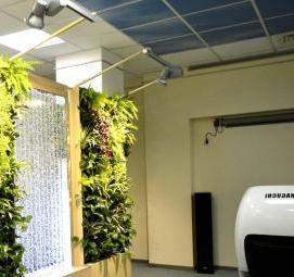 Озеленение комнаты - вариант 2