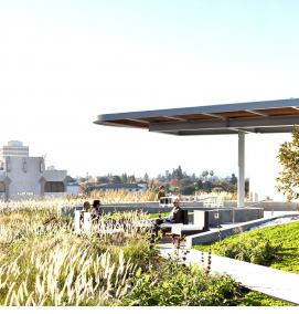 Озеленение кровли - вариант 4