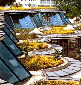 Озеленение кровли - вариант 2