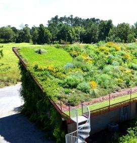 Озеленение крыш - вариант 4