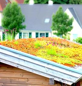 Озеленение крыш - вариант 3