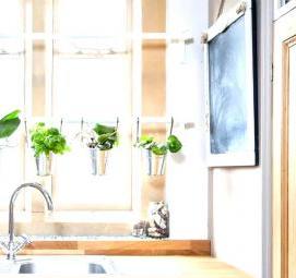 Озеленение кухни - вариант 3