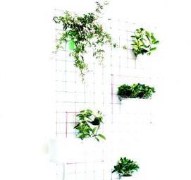 Озеленение квартиры - тип 1