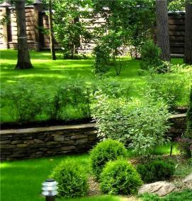 Озеленение - тип 4